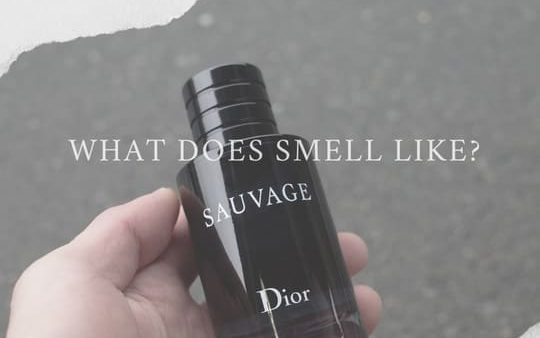 【どんな匂い？】DIORソヴァージュがモテる香水No.1である理由