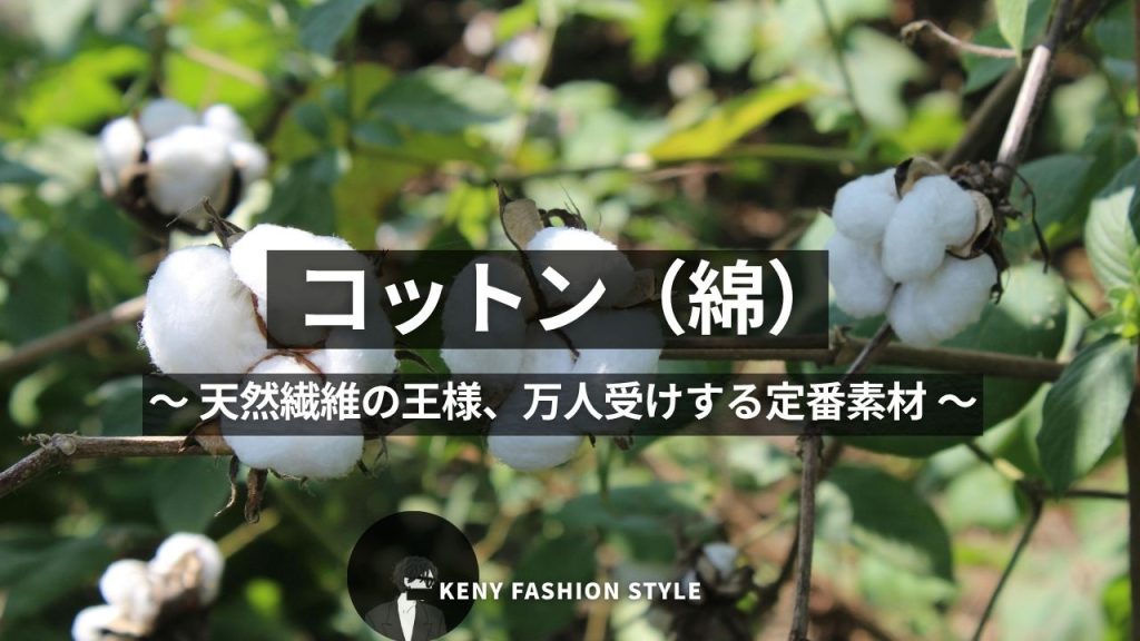 ■ コットン(綿)
〜 天然繊維の王様、万人受けする定番素材 〜